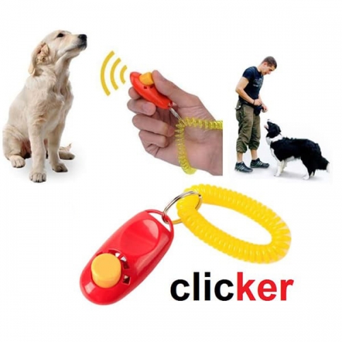 CLICKER - CSUKLÓRA AKASZTÓS